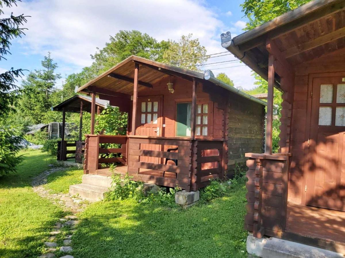 Bungalow Camping Edelweiss - Floare De Colt - Gyopar Rimetea Exteriör bild