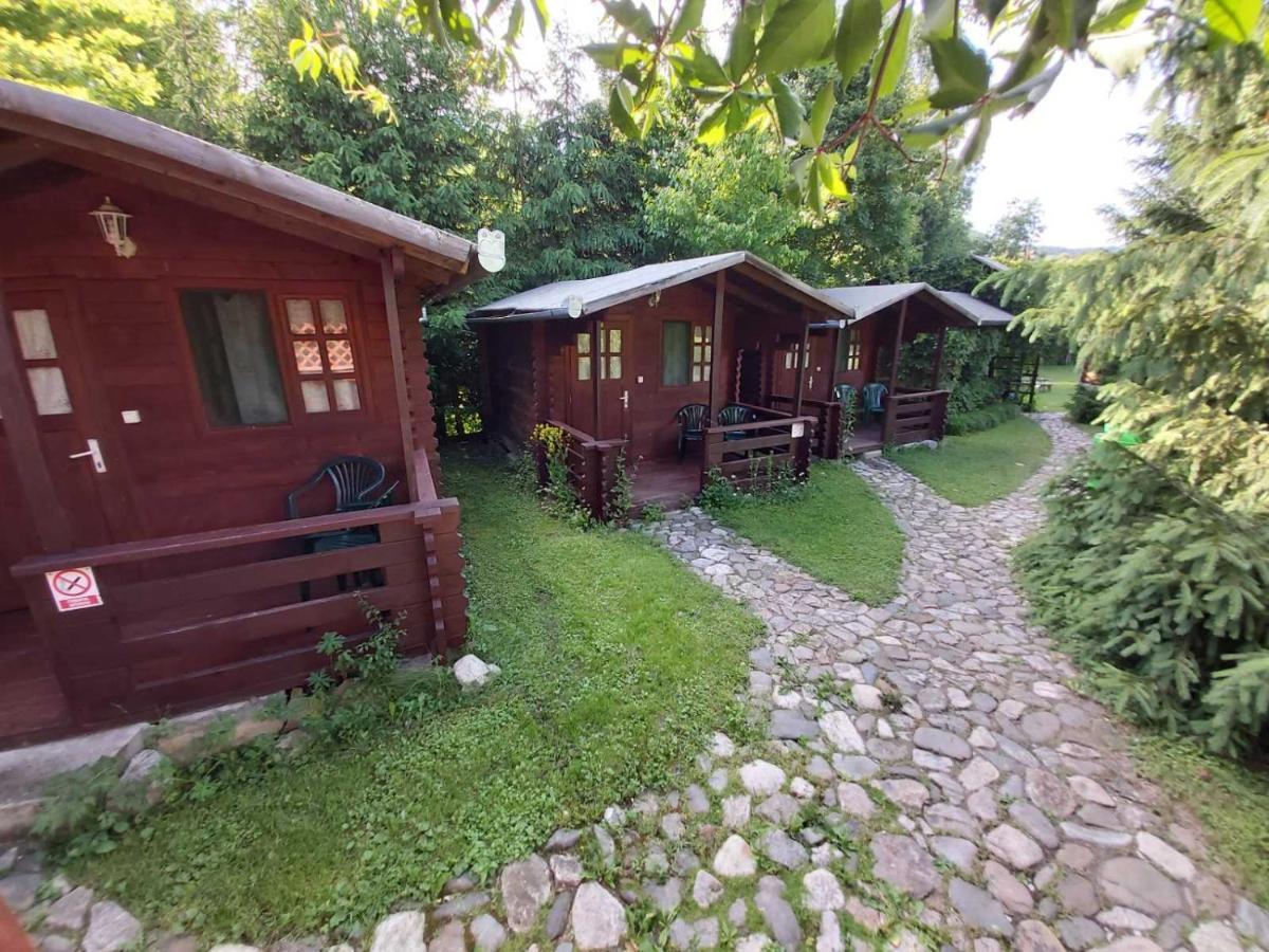 Bungalow Camping Edelweiss - Floare De Colt - Gyopar Rimetea Exteriör bild