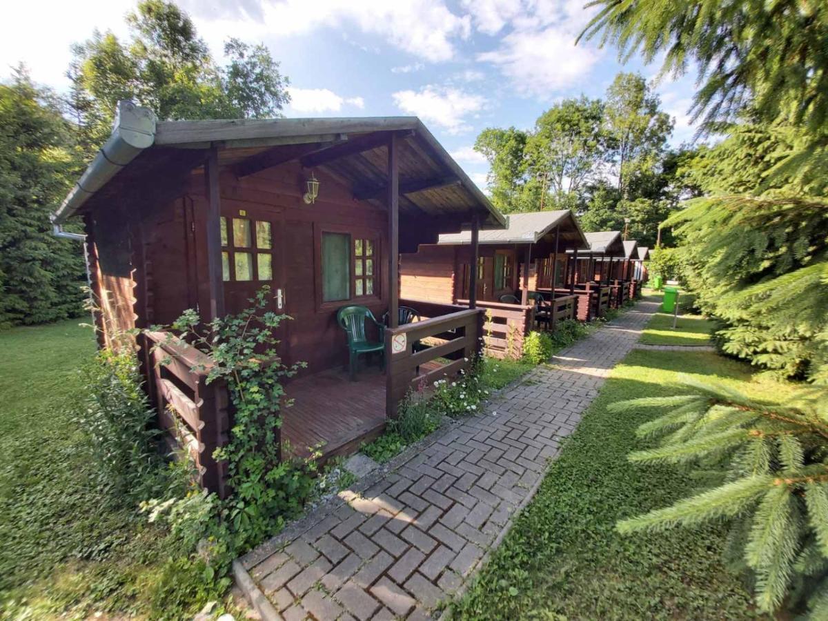 Bungalow Camping Edelweiss - Floare De Colt - Gyopar Rimetea Exteriör bild