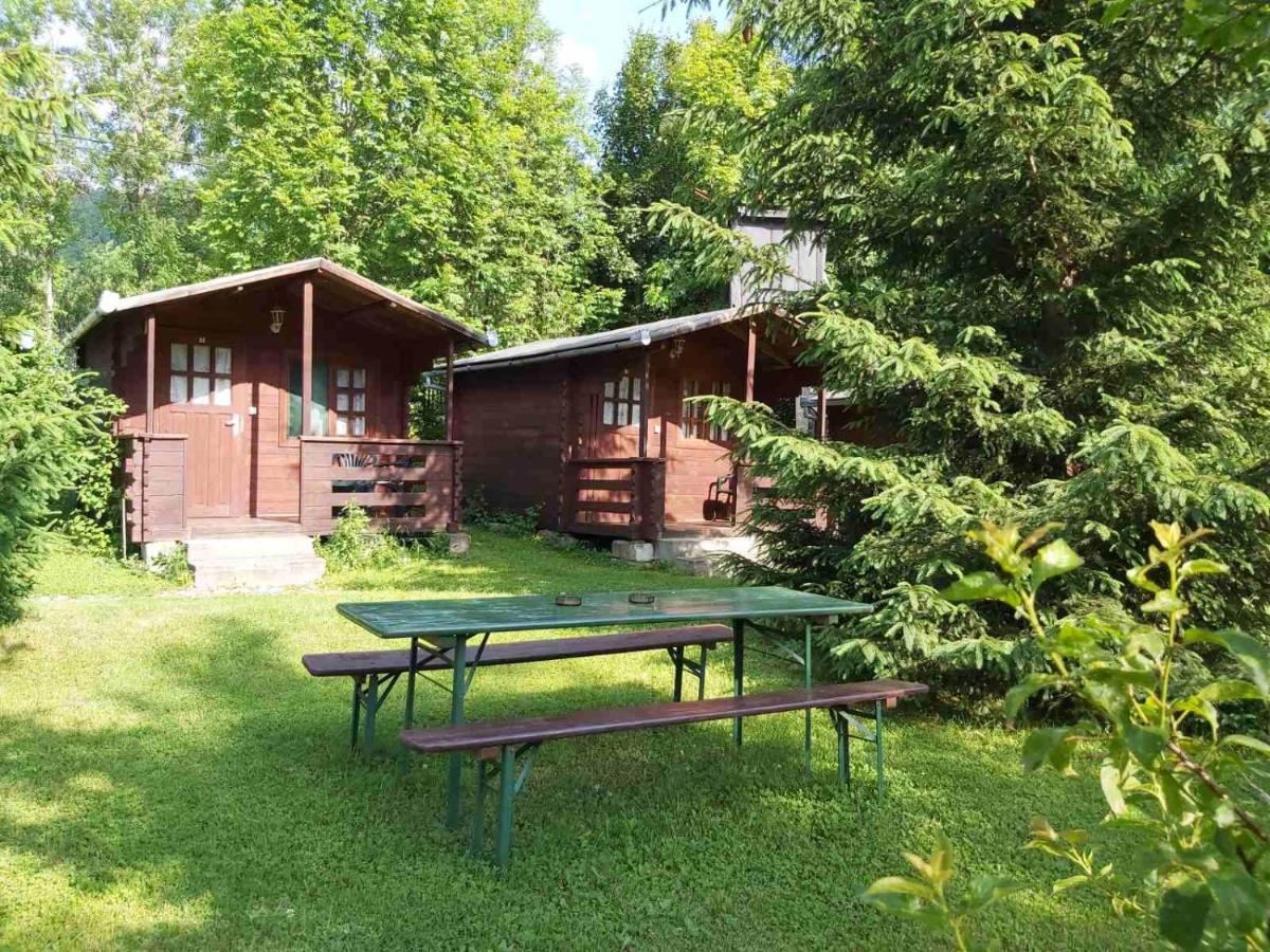 Bungalow Camping Edelweiss - Floare De Colt - Gyopar Rimetea Exteriör bild