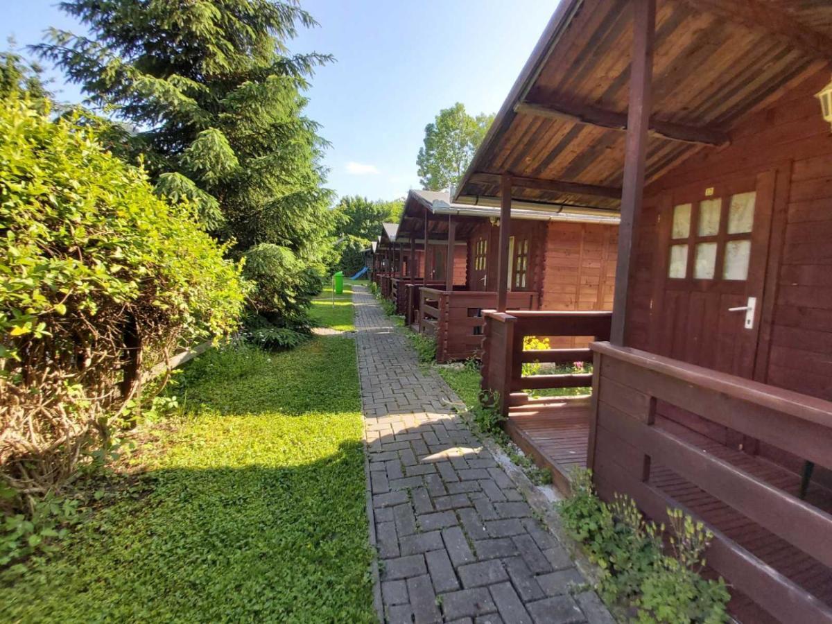 Bungalow Camping Edelweiss - Floare De Colt - Gyopar Rimetea Exteriör bild