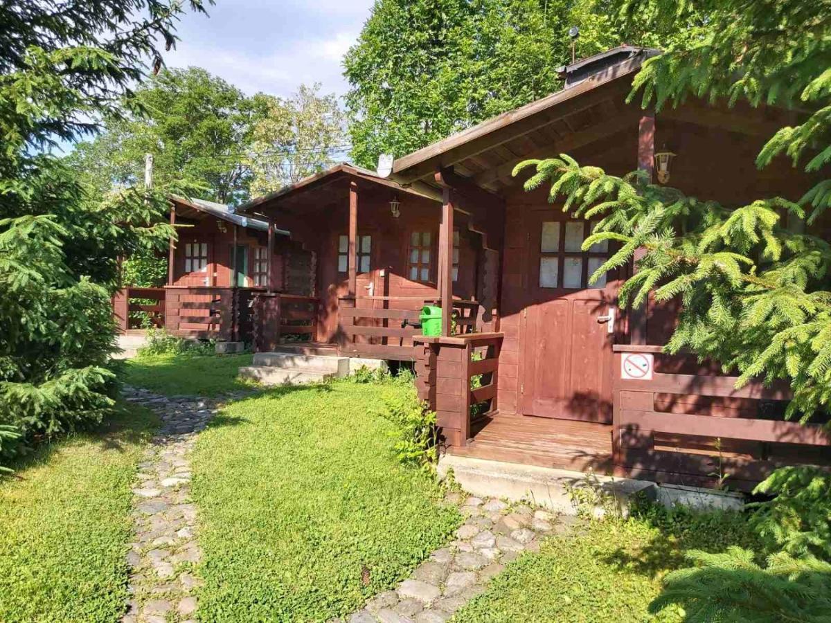 Bungalow Camping Edelweiss - Floare De Colt - Gyopar Rimetea Exteriör bild