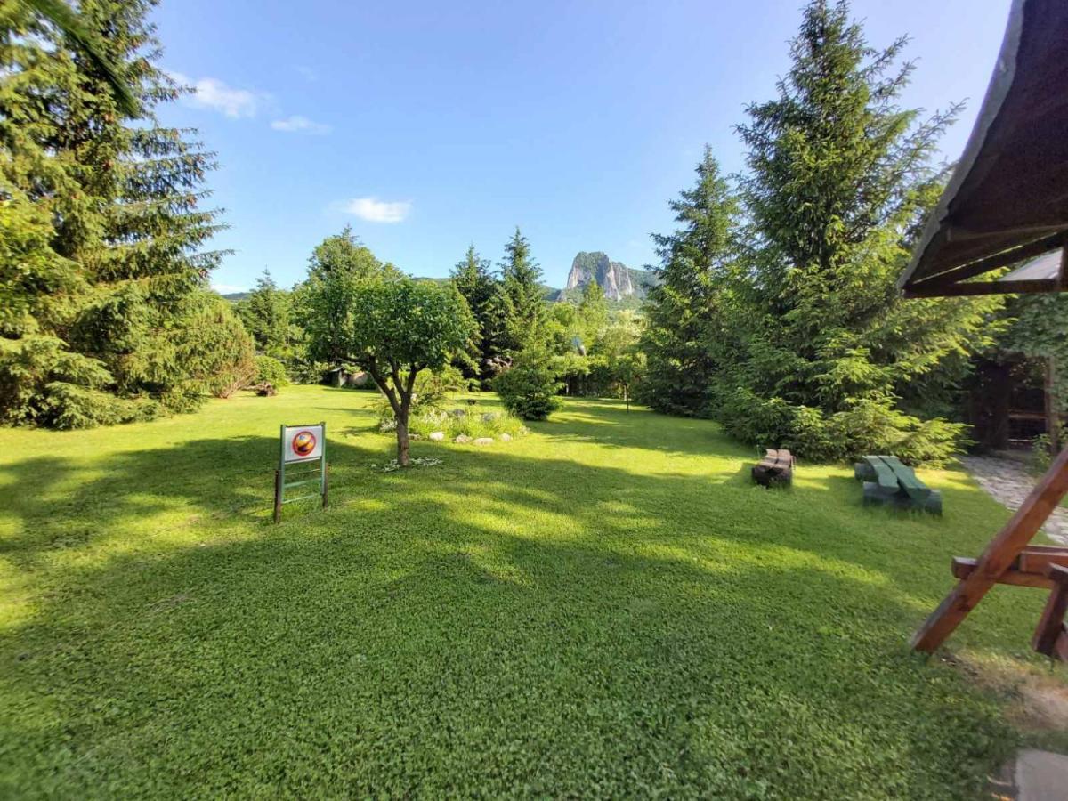 Bungalow Camping Edelweiss - Floare De Colt - Gyopar Rimetea Exteriör bild