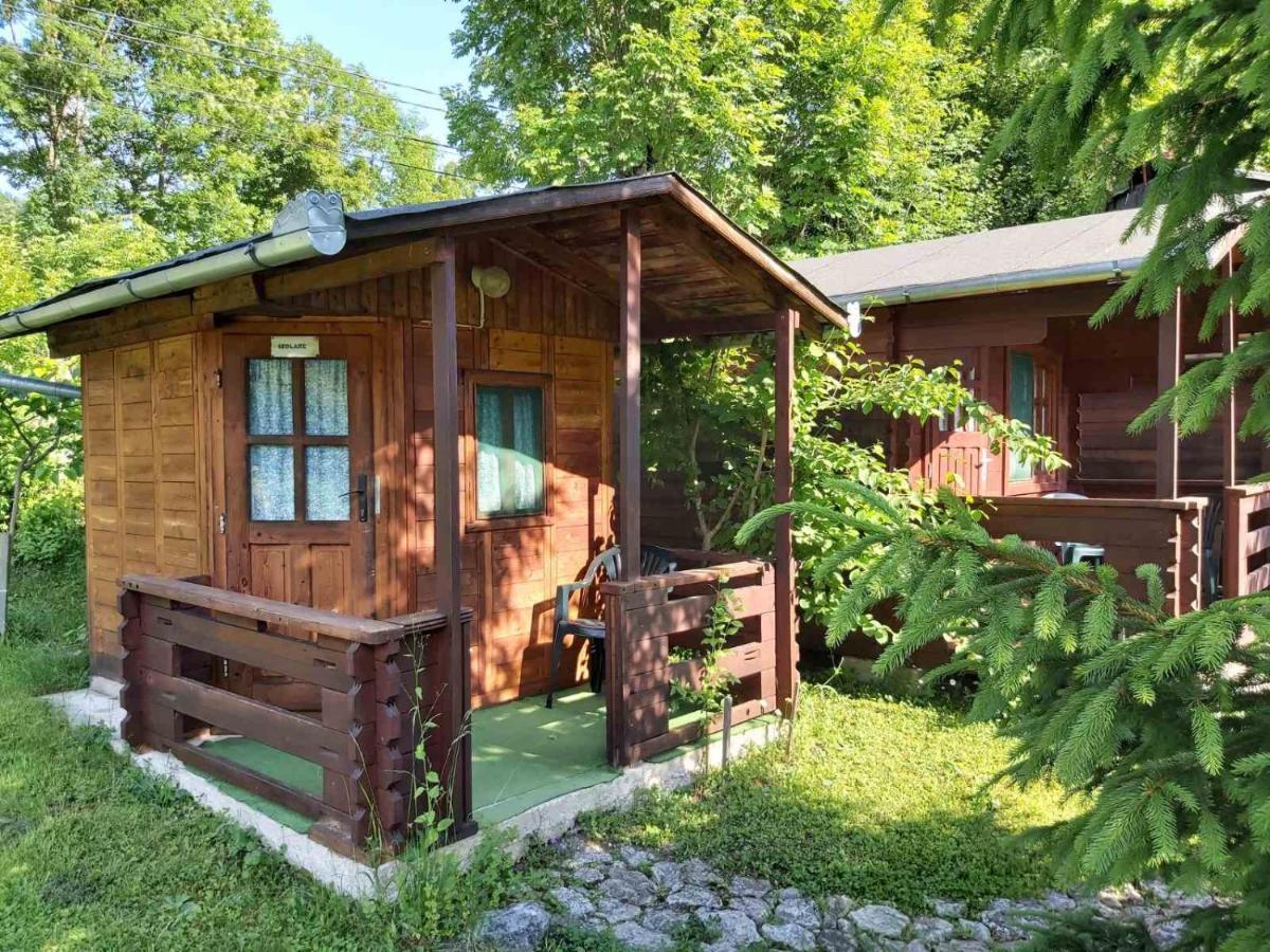 Bungalow Camping Edelweiss - Floare De Colt - Gyopar Rimetea Exteriör bild